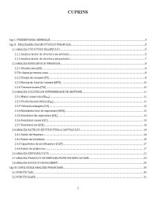 Analiza financiară a SC Ardealul SA - Pagina 2