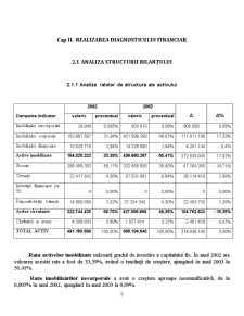 Analiza financiară a SC Ardealul SA - Pagina 5