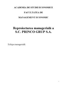 Reproiectarea managerială a SC Princo Grup SA - Pagina 2
