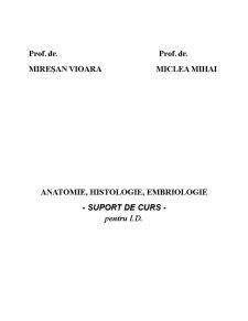 Embriologie - Pagina 1