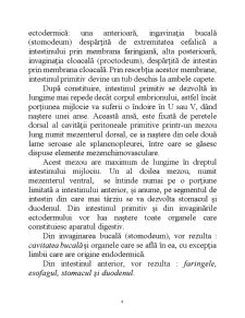 Embriologie - Pagina 3