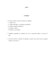 Proces decizional de cumpărare pentru automobilul Daewoo Matiz - Pagina 2