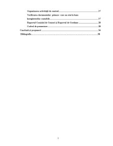 Lucrare de diplomă - contabilitate - Pagina 2