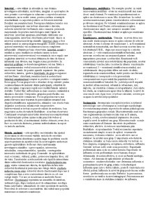 Metode de cercetare în științele comunicării - an 1 - Pagina 1