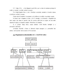 Proiect Merceologie - SC Calitas SRL - Pagina 5
