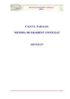 Calcul paralel - metodă de gradient conjugat - Pagina 1