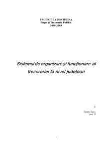 Sistemul de Organizare și Funcționare al Trezoreriei la Nivel Județean - Pagina 1