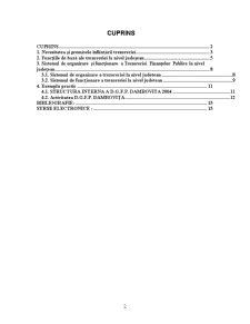Sistemul de Organizare și Funcționare al Trezoreriei la Nivel Județean - Pagina 2