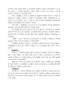 Comportamentul Managerilor Italieni - Pagina 4