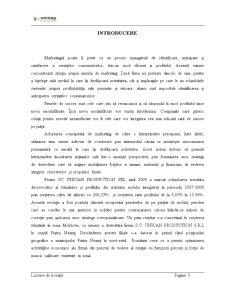 Mixul de Marketing în Cadrul Firmei SC Unican Production SRL - Pagina 3