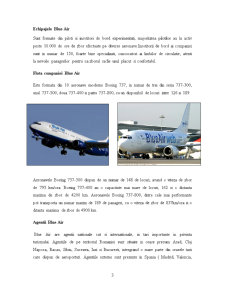 Transportul Aerian - Studiu de Caz Blue Air - Pagina 3