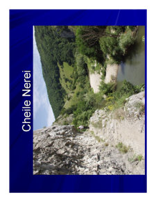 Geografia Umana a Romaniei - Pagina 215