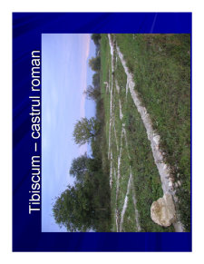 Geografia Umana a Romaniei - Pagina 224