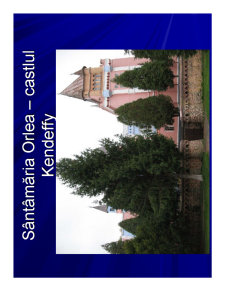 Geografia Umana a Romaniei - Pagina 233