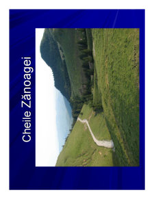 Geografia Umana a Romaniei - Pagina 244