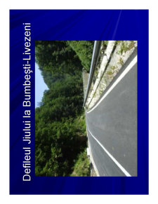 Geografia Umana a Romaniei - Pagina 258