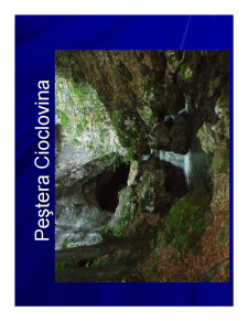 Geografia Umana a Romaniei - Pagina 262