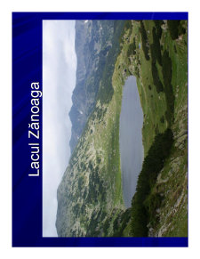 Geografia Umana a Romaniei - Pagina 264