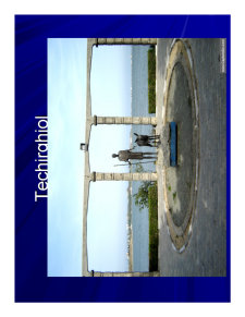 Geografia Umana a Romaniei - Pagina 283