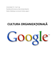 Cultura organizațională în cadrul companiei Google - Pagina 1