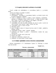Analiza rentabilității la SC Industrializarea Laptelui SA Mehedinți - Pagina 2