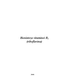 Biosinteza vitaminei B2 - riboflavină - Pagina 1