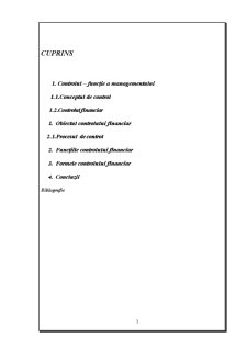 Managementul și Control Financiar Contabil - Pagina 3