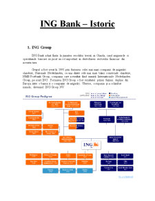 Lucrare de practică la ING Bank - Pagina 4