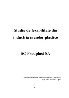 Studiu de Fezabilitate din Industria Maselor Plastice - Pagina 1