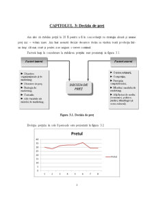 Proiect modelarea și simularea sistemelor de producție - Atomix Ecopen - Pagina 5