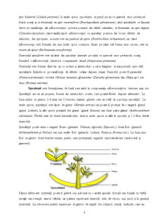Gramineele perene din componența pajiștilor naturale - Pagina 4