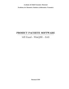 Proiect Excel-WINQSB-SAS - Pachete Software - Pagina 1
