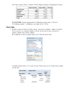 Proiect Excel-WINQSB-SAS - Pachete Software - Pagina 5