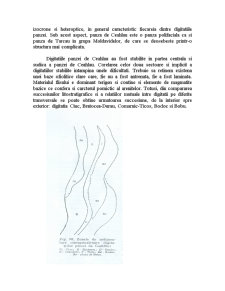 Pânza de Ceahlău - Pagina 2