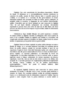 Pânza de Ceahlău - Pagina 3