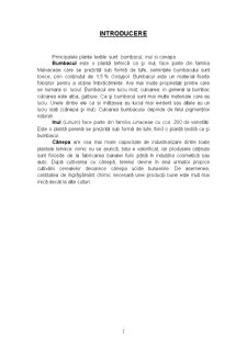 Inul, cânepa și bumbacul - principalele plante textile - Pagina 1