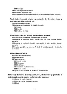 Lucrare de practică - tehnică bancară - Raiffeisen Bank Simleu Silvaniei - Pagina 3