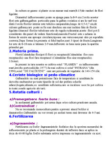 Tehnologia de Cultivare a Speciilor Calendula Officinalis și Digitalis Purpurea - Pagina 2