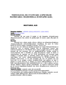 Tehnologia de cultivare a speciilor matricaria chamomilla și sinapis alba - Pagina 1