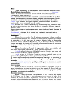 Tehnologia de cultivare a speciilor matricaria chamomilla și sinapis alba - Pagina 2