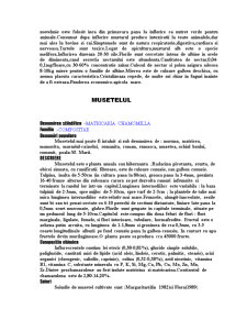 Tehnologia de cultivare a speciilor matricaria chamomilla și sinapis alba - Pagina 4