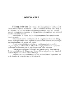 Plan de afaceri - SC Colț de Rai SRL - Pagina 4
