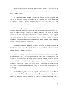 Extracția cu Microunde a Uleiurilor Esențiale din Piper Negru și Coriandru - Pagina 5