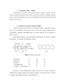 Formularea unui produs - capsule cu administrare orală - Pagina 5