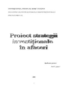 Strategii investiționale în afaceri - SC Construct SRL - Pagina 1