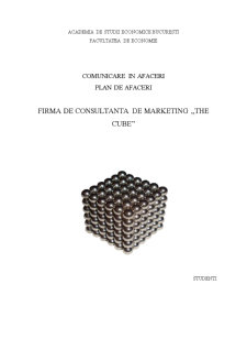 Plan de afaceri - firma de consultanță de marketing The Cube - Pagina 1