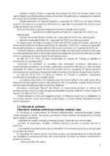 Activitatea de marketing specifică unei societăți comerciale Spicul SA Pitești - Pagina 4