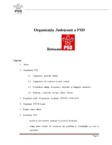 Raport de practică - Organizația Locală PSD Botoșani - Pagina 2