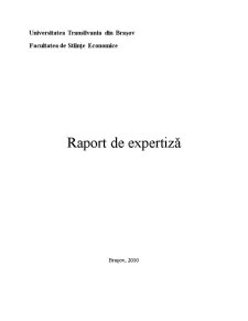 Raport de Expertiză - Pagina 1