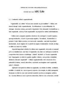 Cultura organizatională. Studiu de caz AIG Life - Pagina 3
